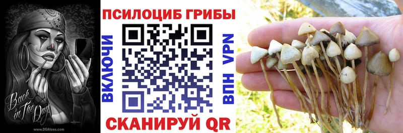 Псилоцибиновые грибы GOLDEN TEACHER  купить закладку  Салехард 