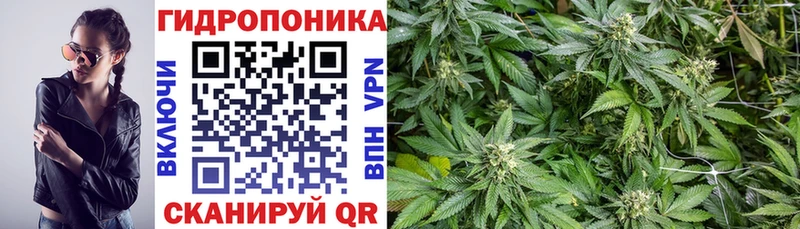 Конопля Amnesia  blacksprut сайт  Салехард  даркнет сайт 